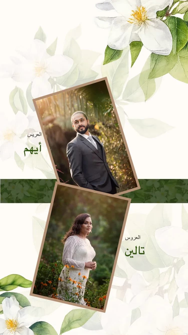 بوهو الزهري - أخضر