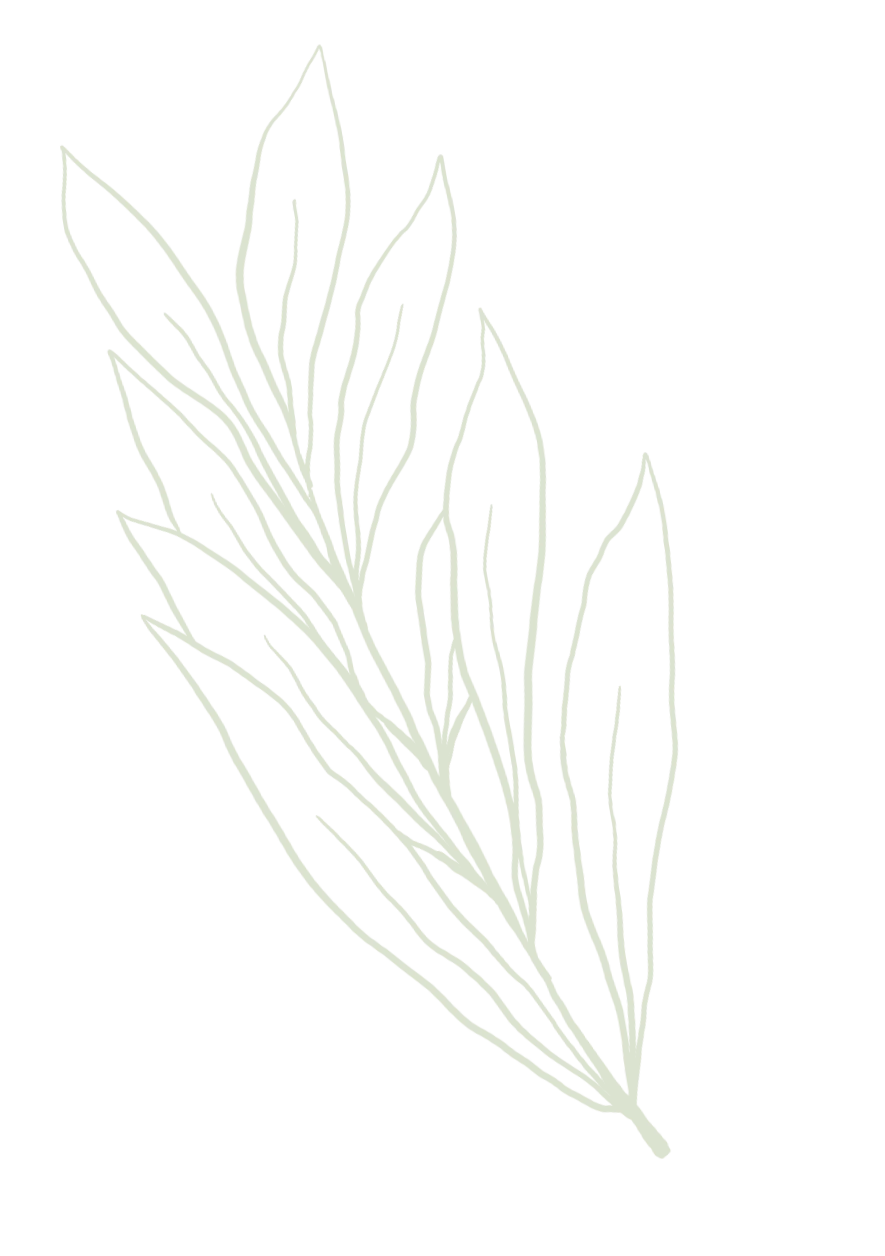 Leaf decoration